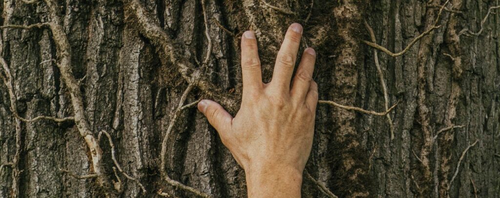 Belastungen frühzeitig erkennen - Hand auf Baum mit Belastung durch Gewächs